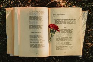 https://www.pexels.com/photo/a-red-carnation-on-an-old-book-15673219/