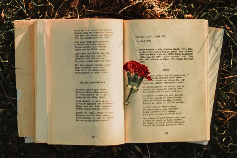 https://www.pexels.com/photo/a-red-carnation-on-an-old-book-15673219/